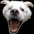 emote