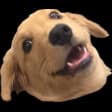 emote