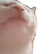 emote